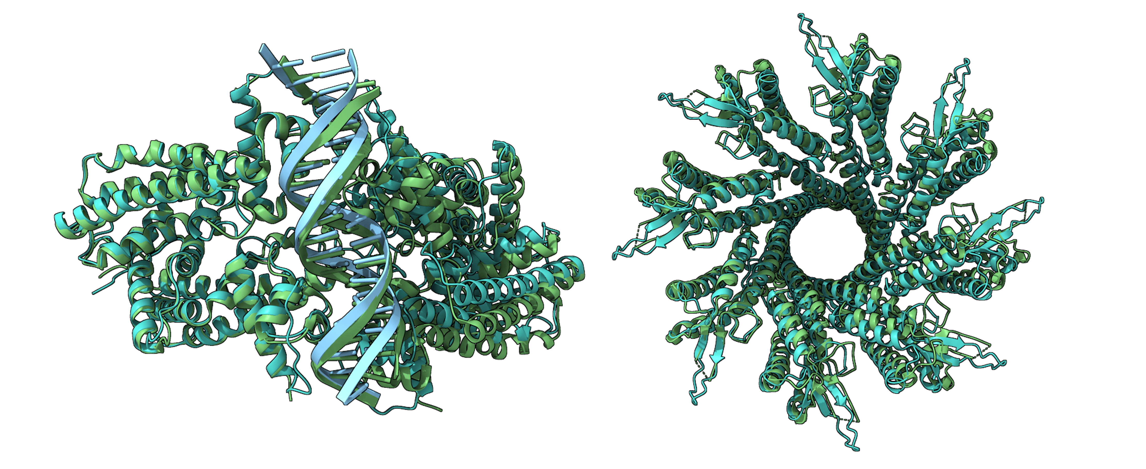 Protein Structure Prediction