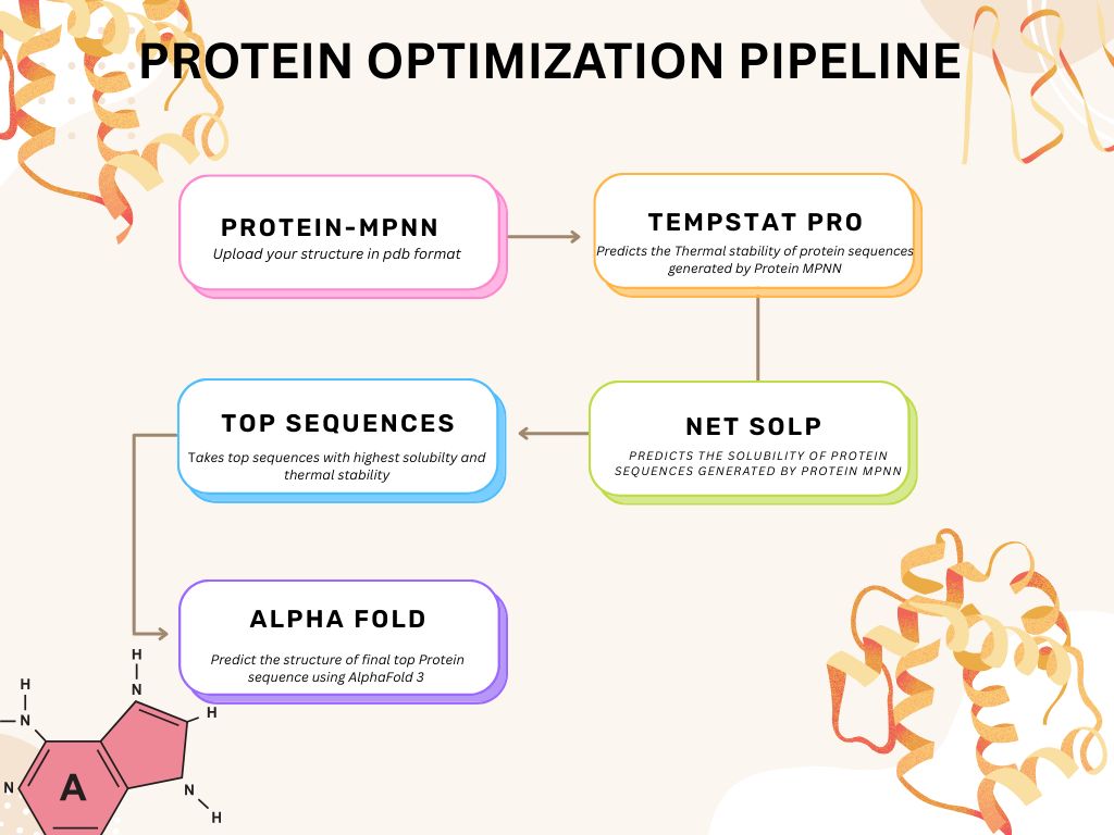 Automated Protein Optimization Pipeline